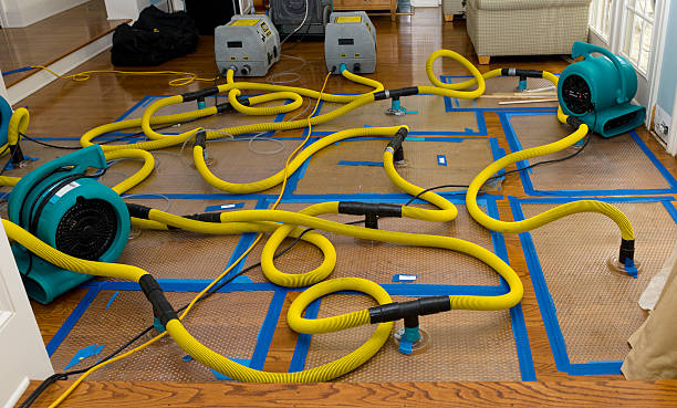 Professional Structural Drying And Dehumidification technician working in Springville, NY